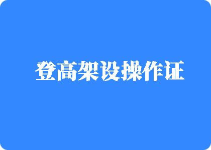 日本肥女人操B登高架设操作证